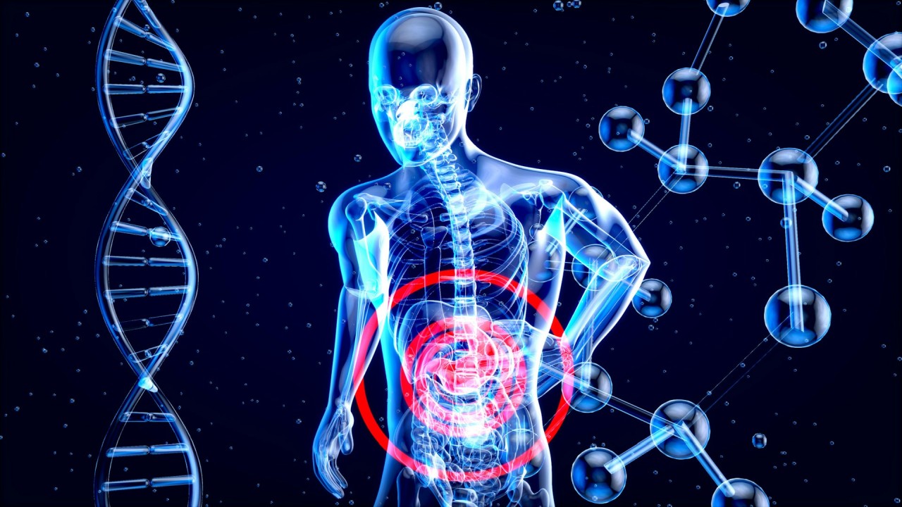 Maladies auto-immunes